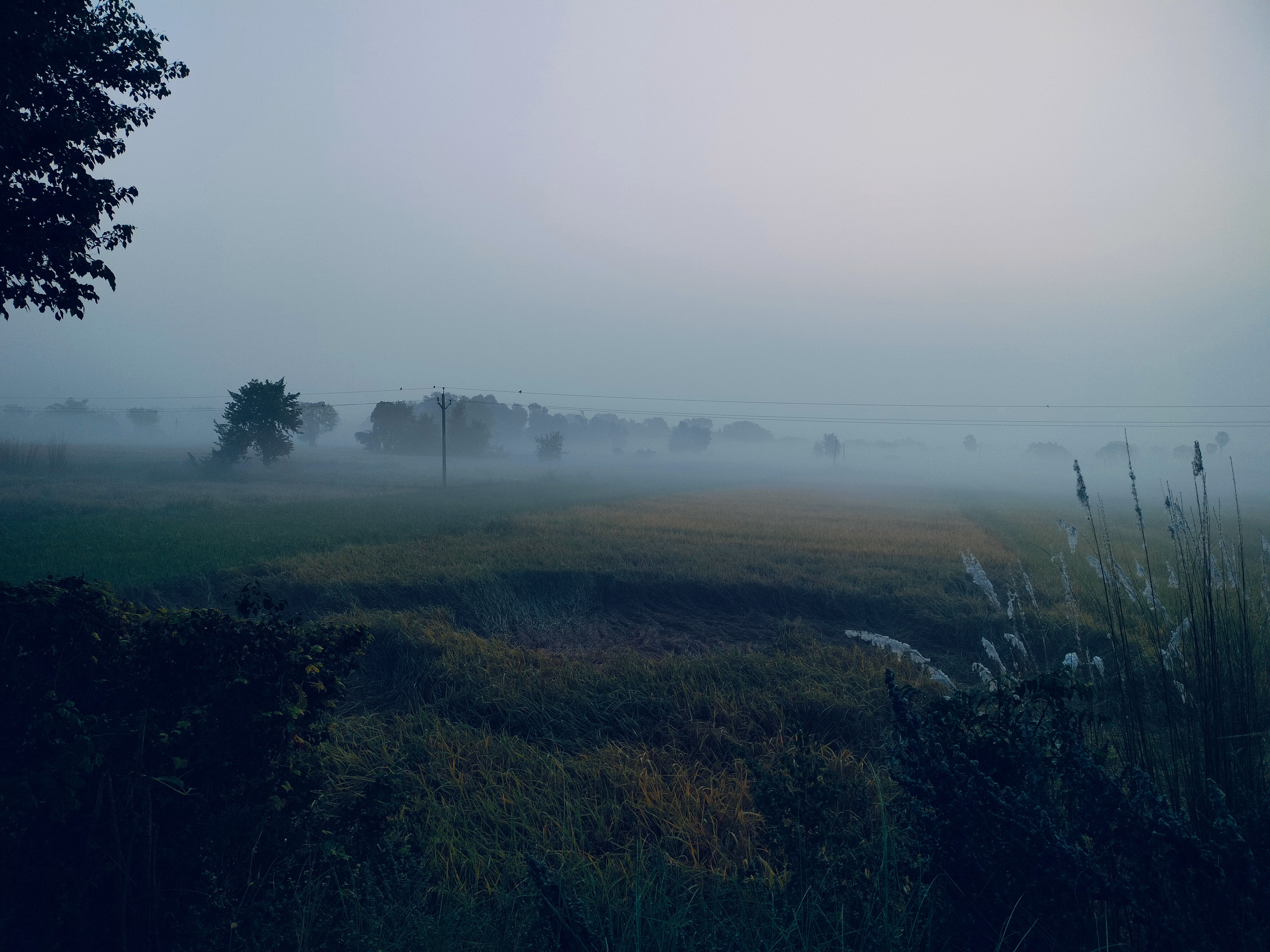 panjab